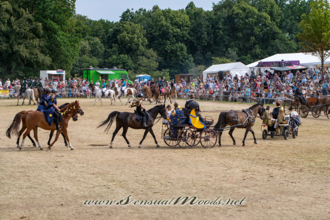 gk_20260726_1433-1_2160