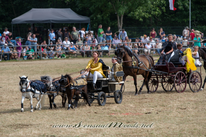 gk_20260726_1435-1_2160