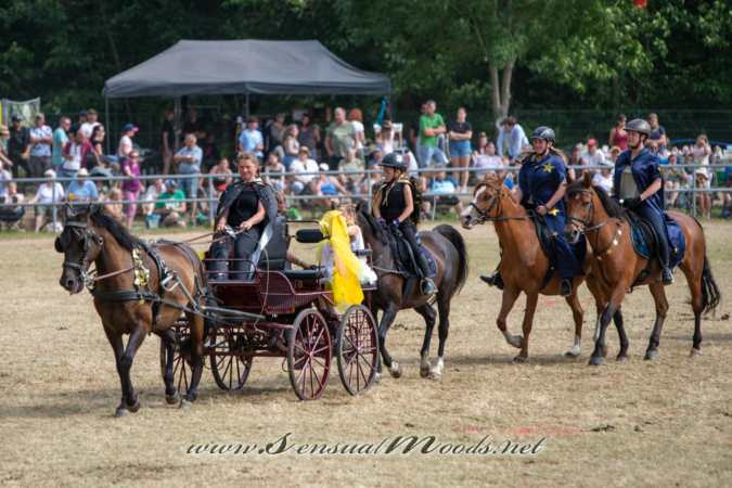 gk_20260726_1437-1_2160
