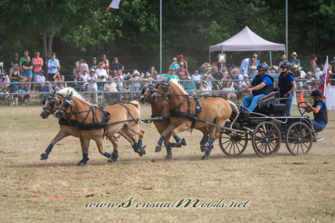 gk_20260726_1480-1_2160