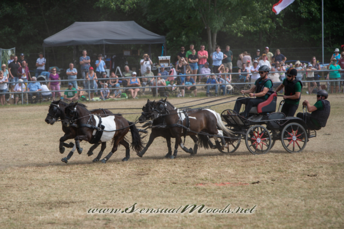 gk_20260726_1483-1_2160