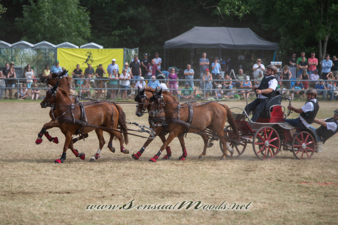gk_20260726_1484-1_2160