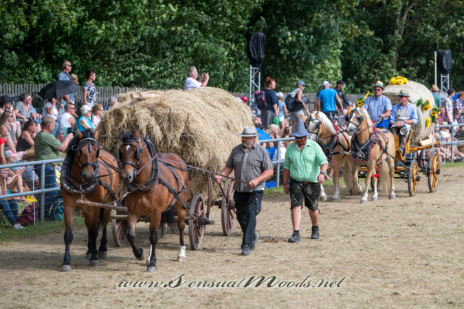 gk_20260726_1541-1_2160