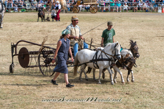 gk_20260726_1563-1_2160