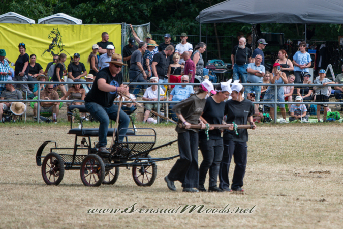 gk_20260726_1567-1_2160