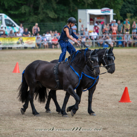 gk_20260726_1839-1_2160