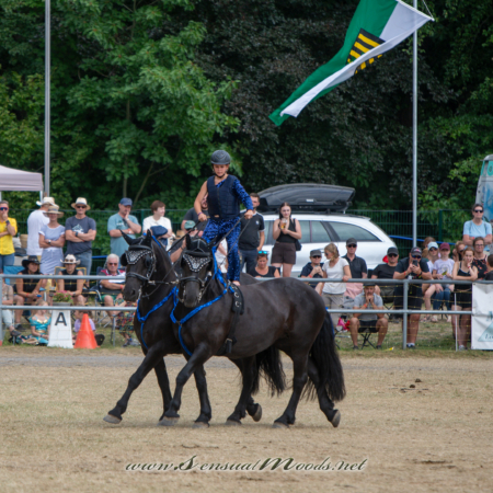 gk_20260726_1843-1_2160
