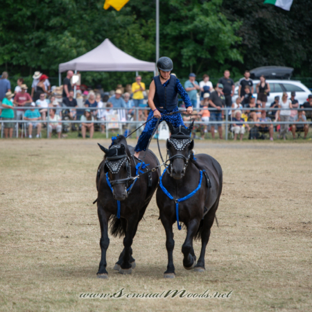 gk_20260726_1852-1_2160
