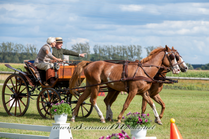 gk_20260830_1337-1_2160