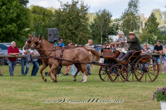 gk_20260830_1350-1_2160