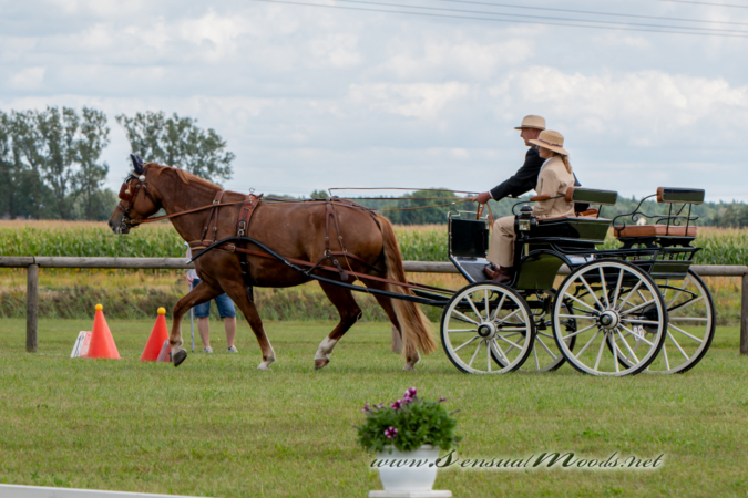 gk_20260830_2603-1_1800_wsgn