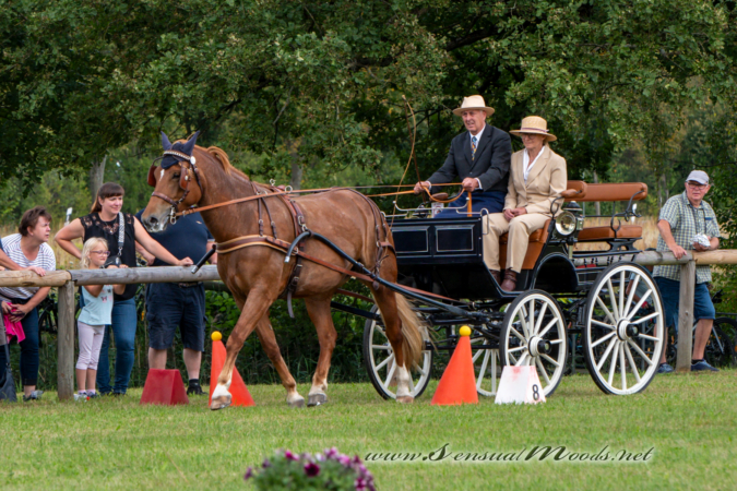 gk_20260830_2604-1_1800_wsgn