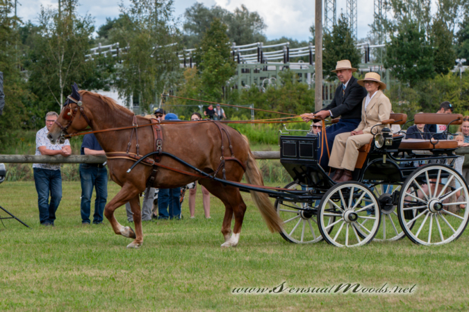gk_20260830_2606-1_1800_wsgn