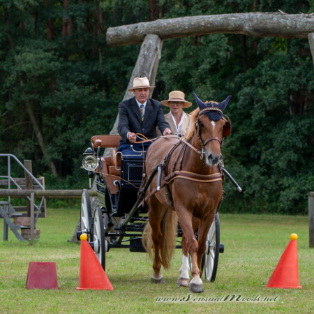gk_20260830_2608-1_1800_wsgn