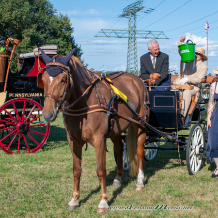 gk_20260830_2873-1_1800_wsgn