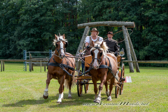 gk_20260830_2653-1_1800_wsgn