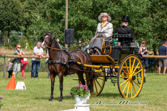 gk_20260830_2662-1_1800_wsgn