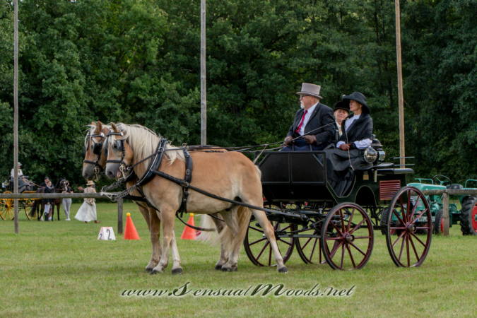 gk_20260830_1370-1_2160