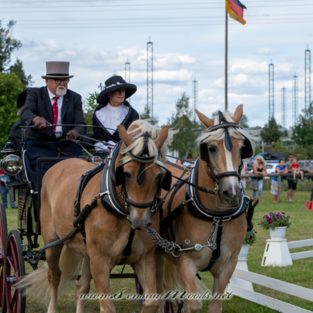 gk_20260830_1410-1_2160