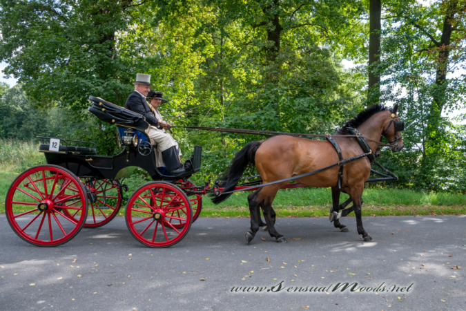 gk_20260830_0452-1_1800_wsgn