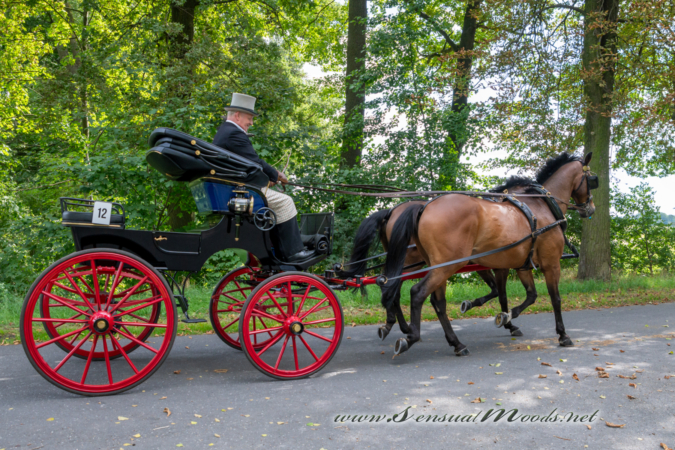 gk_20260830_0462-1_1800_wsgn