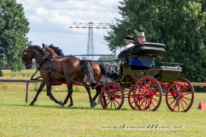 gk_20260830_1240-1_1800_wsgn