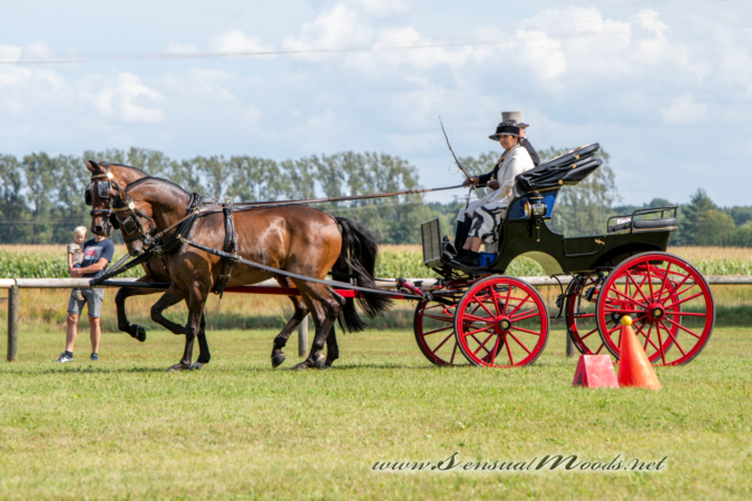 gk_20260830_1241-1_1800_wsgn