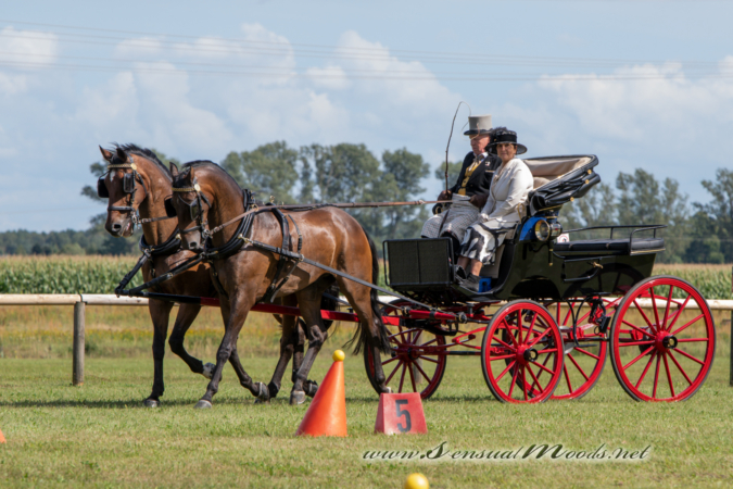 gk_20260830_1244-1_1800_wsgn