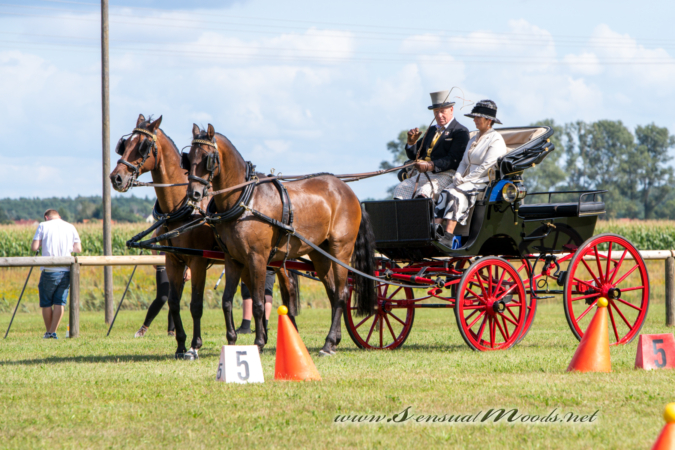 gk_20260830_1246-1_1800_wsgn