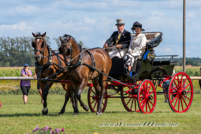 gk_20260830_1248-1_1800_wsgn