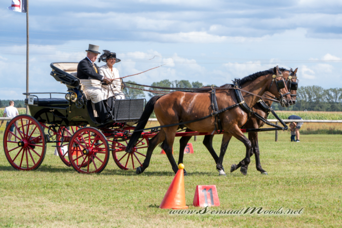 gk_20260830_1252-1_1800_wsgn