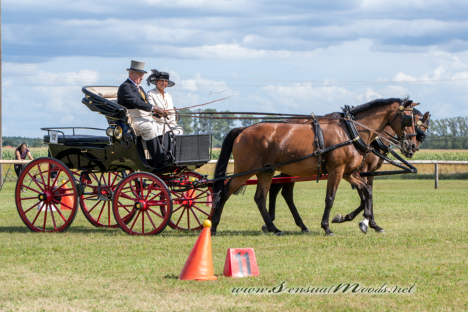 gk_20260830_1254-1_1800_wsgn