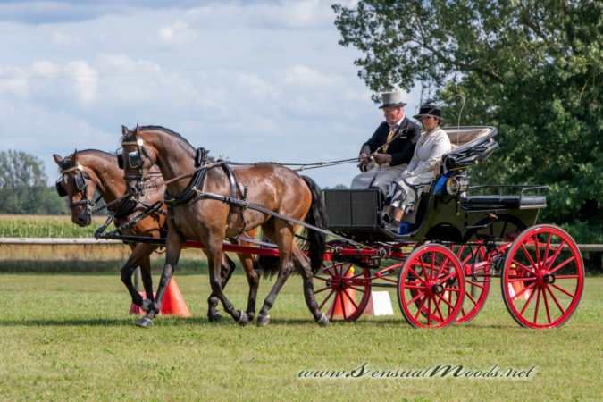 gk_20260830_1256-1_1800_wsgn