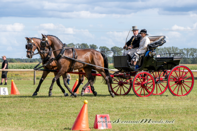 gk_20260830_1259-1_1800_wsgn