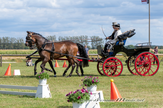 gk_20260830_1262-1_1800_wsgn