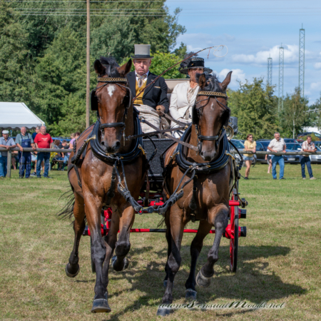 gk_20260830_1270-1_1800_wsgn
