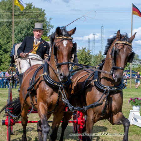 gk_20260830_1271-1_1800_wsgn