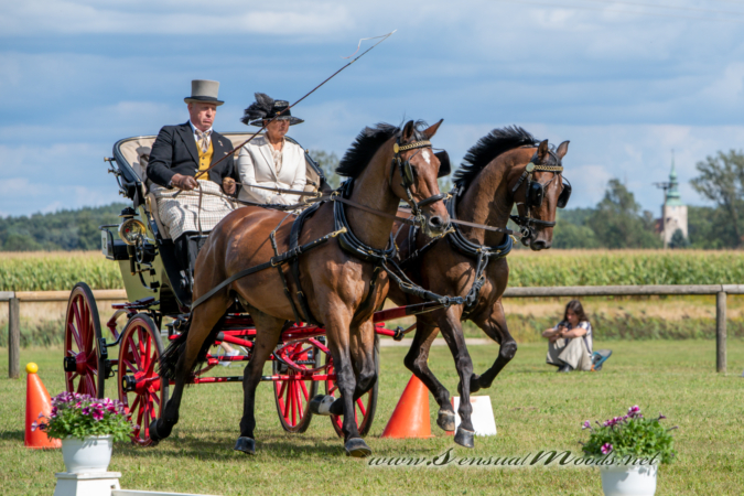 gk_20260830_1282-1_1800_wsgn