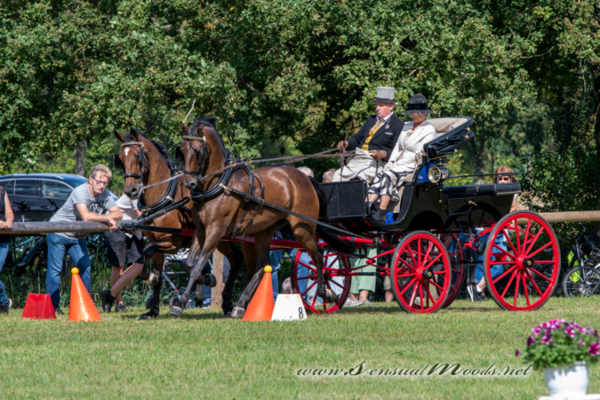 gk_20260830_1287-1_1800_wsgn