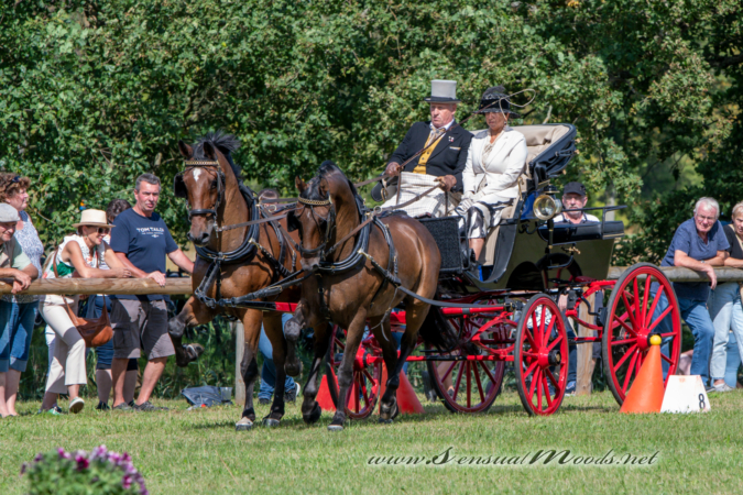 gk_20260830_1290-1_1800_wsgn