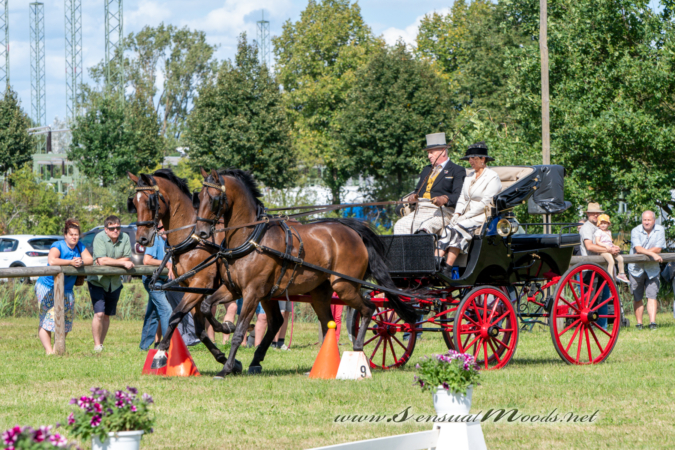 gk_20260830_1291-1_1800_wsgn