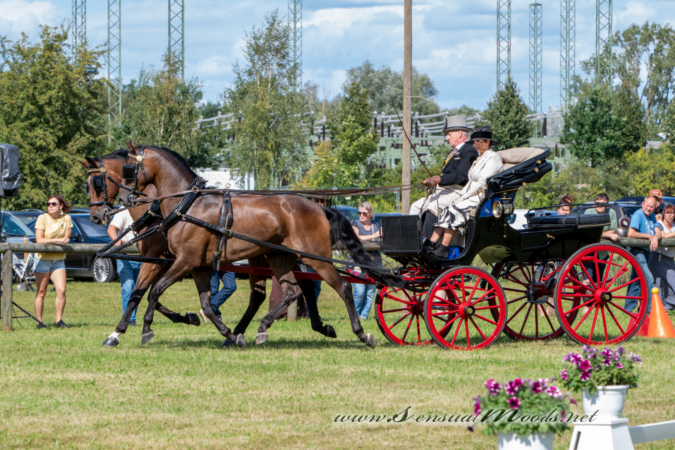 gk_20260830_1294-1_1800_wsgn