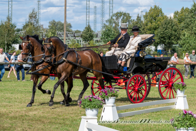 gk_20260830_1316-1_1800_wsgn