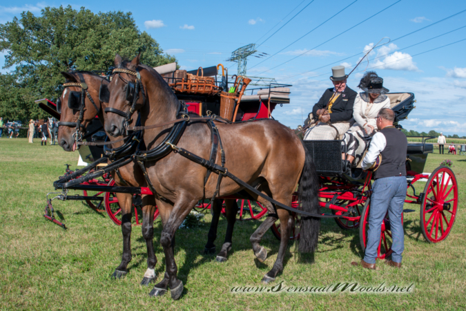 gk_20260830_2772-1_1800_wsgn