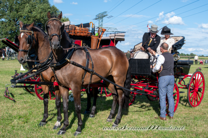 gk_20260830_2773-1_1800_wsgn
