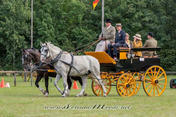 gk_20260830_1434-1_2160