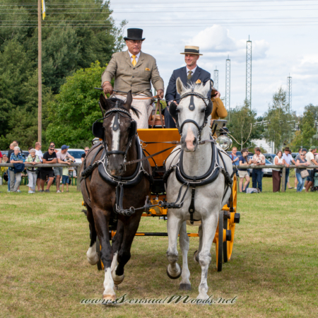 gk_20260830_1440-1_2160