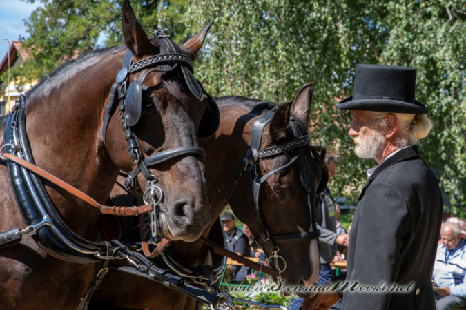 gk_20260829_0842-1_1800_wsgn