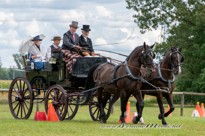 gk_20260830_1524-1_1800_wsgn