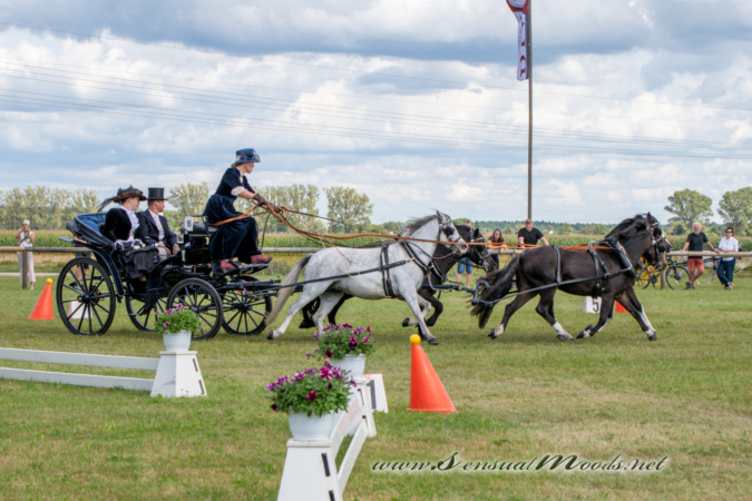 gk_20260830_1661-1_1800_wsgn